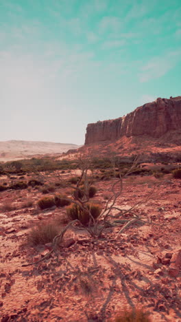 desert landscape with red rock cliff