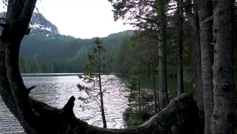 bosque cerca del lago de montaña, con algo de nieve en la cima de una colina