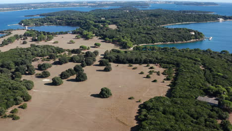 paisaje de naturaleza intacta en el parque nacional de brijuni en el oeste de istria, croacia