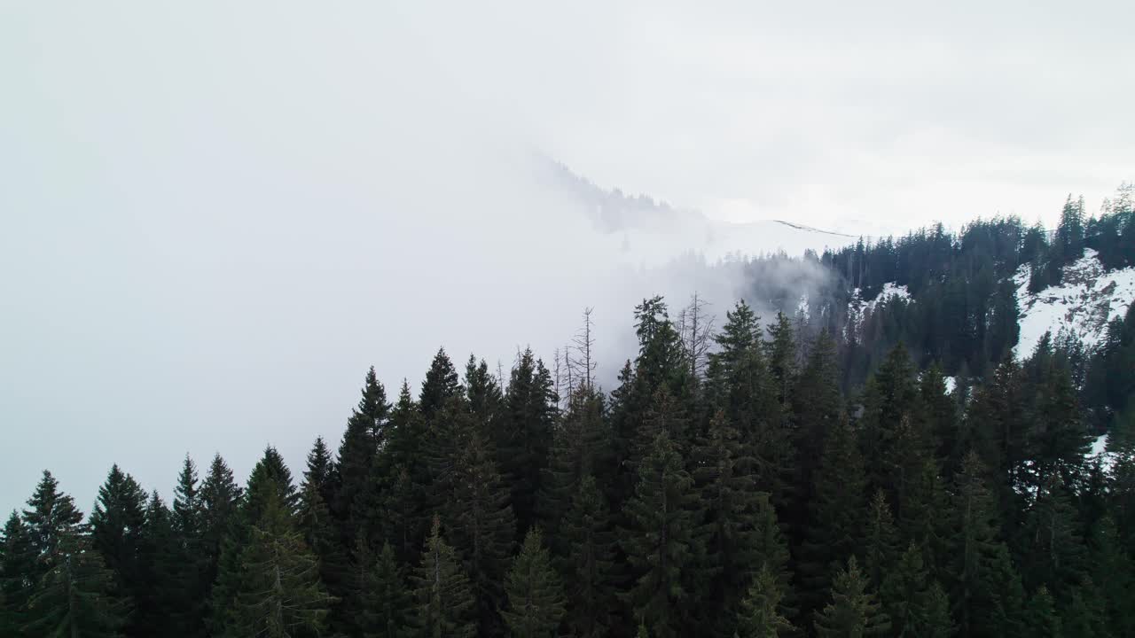 niebla y nieve en el paisaje invernal en suiza