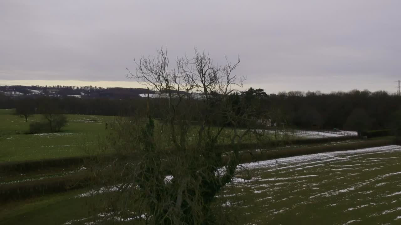 내 지역의 아름다운 나무