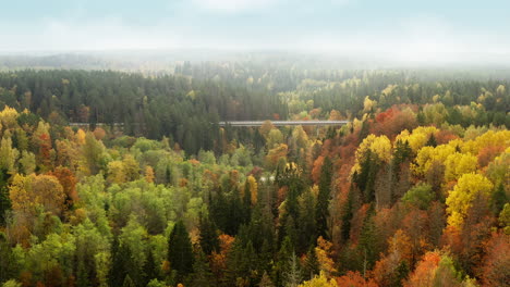 bridge crossing a colorful forest in autumn