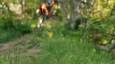 mountain bikers on a forest trail