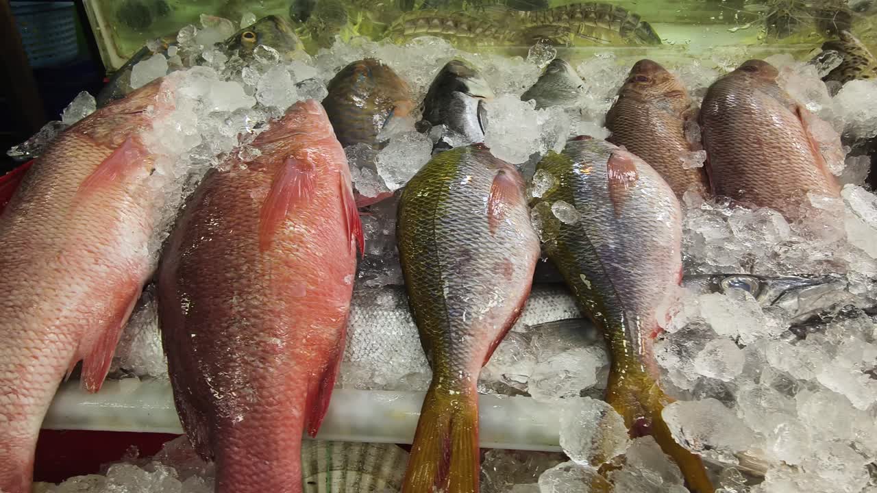 exhibición de pescado fresco en hielo