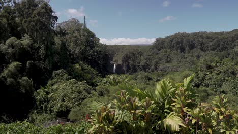 parte superior de las cataratas akaka rodeadas de un exuberante bosque