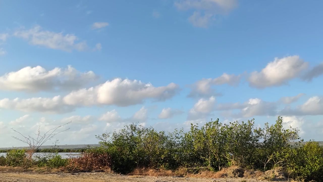 Pemandangan Indah Semak Hijau di Bawah Langit Biru Berawan