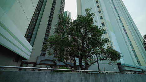 Low-shot-of-tall-buildings-accompanied-by-a-light-breeze-in-Hong-Kong,-China