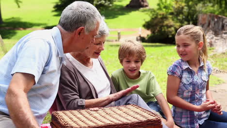 Abuelos-Haciendo-Un-Picnic-Con-Sus-Nietos