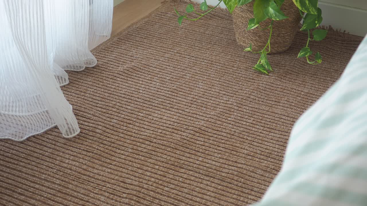 Tappeto marrone con texture, pianta in vaso e tende velate