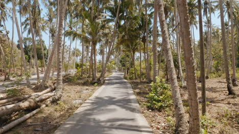 couple riding scooter on tropical island exploring palm tree forest on motorcycle tourists explore holiday destination with motorbike aerial view