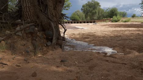 a river in first flood