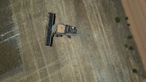 un tractor combinado girando y comenzando a cosechar una nueva fila de trigo en australia occidental