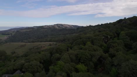 Drone-truck-left-across-Northern-California-forest-at-dusk