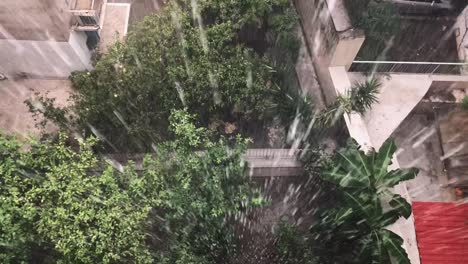 heavy rain pouring on the trees looking down in the backyard