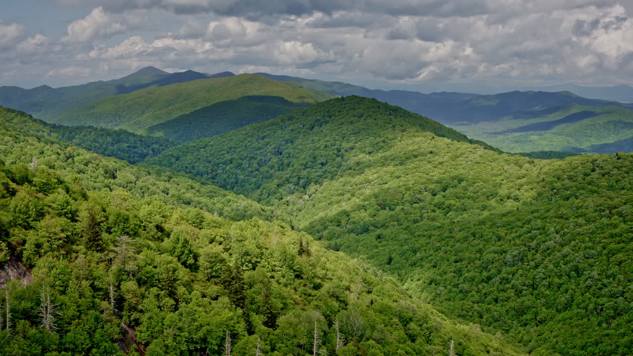 Sweeping drone footage over the fog-drenched Smoky Mountain wilderness during rainfall