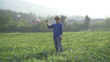 farmer in melon field and showing thumbs up