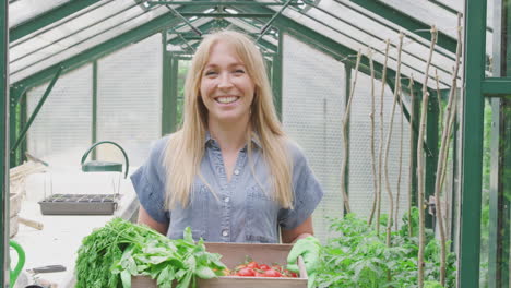 portrait of smiling proud woman holding box of home grown vegetables in greenhouse