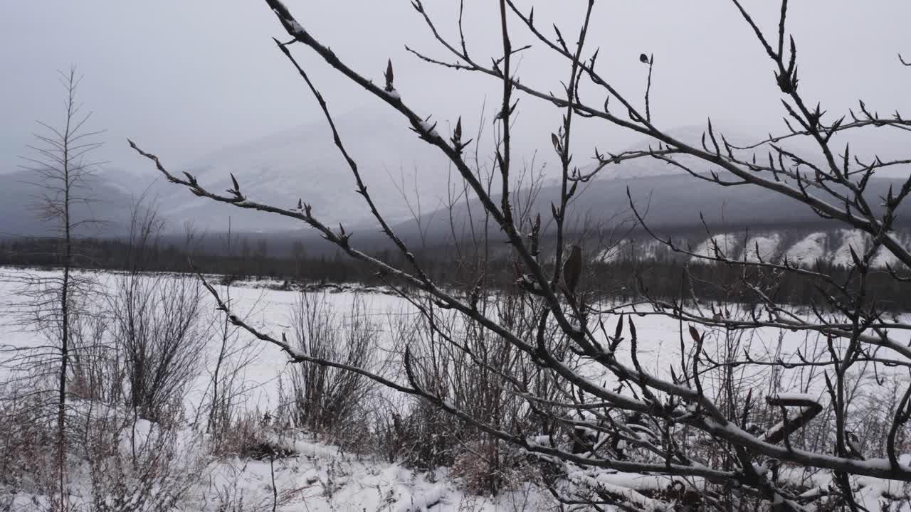 Quiet winter landscape featuring snow-covered fields and distant mountains. A peaceful, scenic view of nature’s beauty