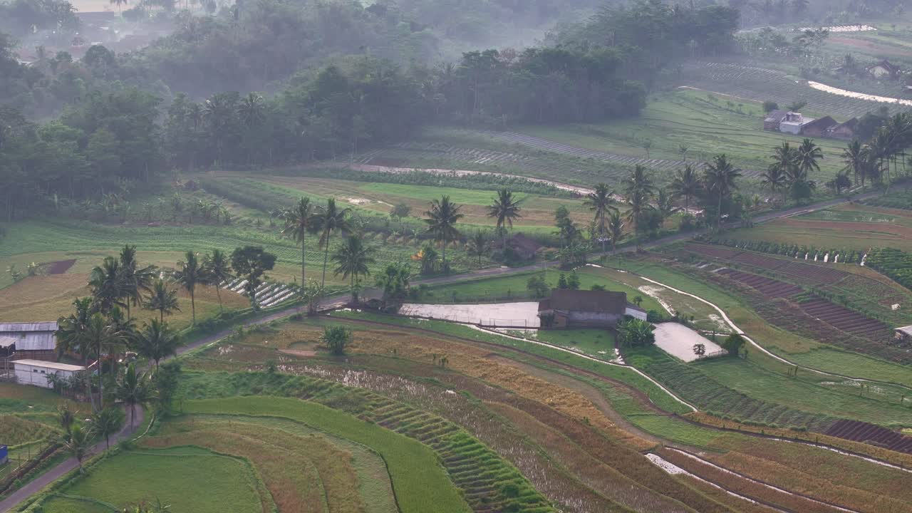 Beautiful aerial landscape of green rice terraces and tropical countryside with scattered palm trees and traditional homes. Indonesia rural landscape