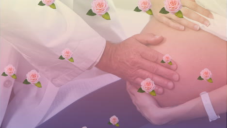 임산부 백인 여성이 남성 의사에 의해 배를 검사하는 핑크 장미의 애니메이션