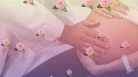 animation of pink roses over pregnant caucasian woman having her belly checked by male doctor