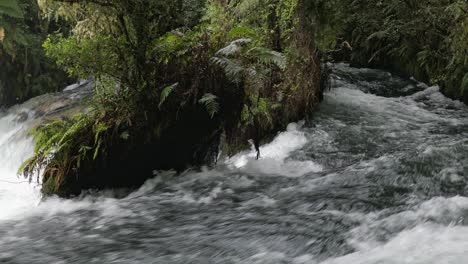 the weir rapid on the kaituna river, rotorua, new zealand. the raceway formed the hydroelectric power station which was decommissioned in the 1930s.