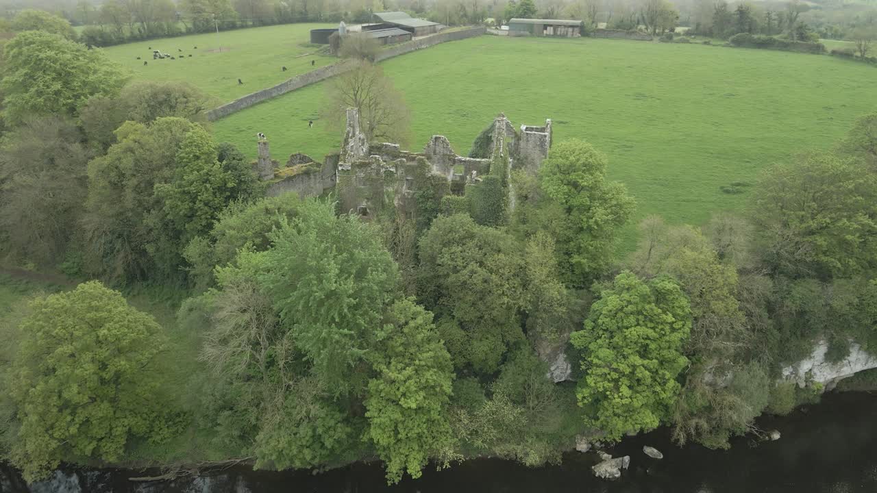 castillo abandonado de dromaneen cubierto de arbustos junto al río negro de irlanda