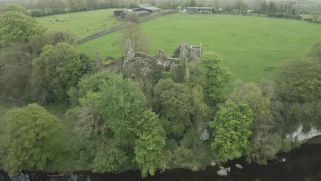 Shrub-covered-abandoned-Dromaneen-Castle-next-to-black-river-Ireland