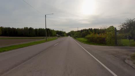 the road winds its way through the countryside, flanked by rows of majestic trees