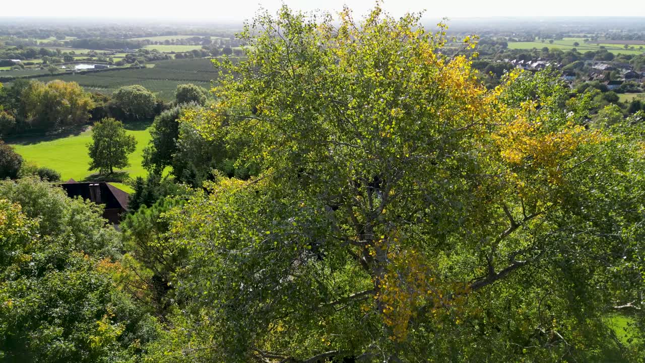 Inquadratura rivelatrice in lento movimento della splendida campagna del Kent a Sutton Valence