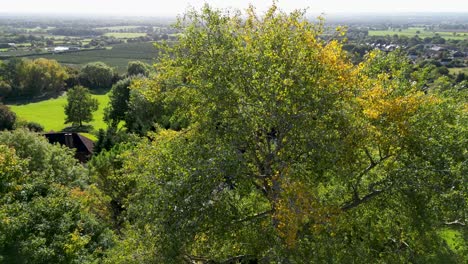 toma de revelación en movimiento lento de la hermosa campiña de kent en sutton valencia