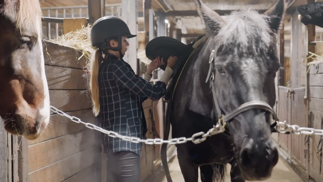 Helmeted rider grooming black horse in stable, adjusting saddle pad and bridle while horse stands crosstied warm barn light, haystrewn aisle, neighboring horse watching, handson care and attentive