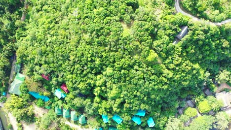 beautiful jungle on the hilled coast edge, colorful house roofs on the tropical island