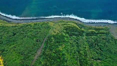 Lush-green-coastline-meeting-the-ocean-at-miraduros-ponta-da-madrugada,-aerial-view