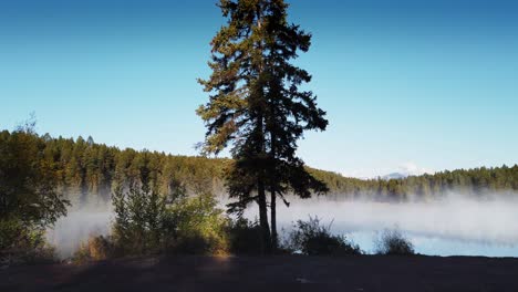 Lake-with-mist-approached-from-shore-dolly-Enid-British-Columbia-Canada