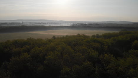 Herauszoomen-Luftaufnahme-Einer-Magischen-Waldlandschaft-Am-Morgen