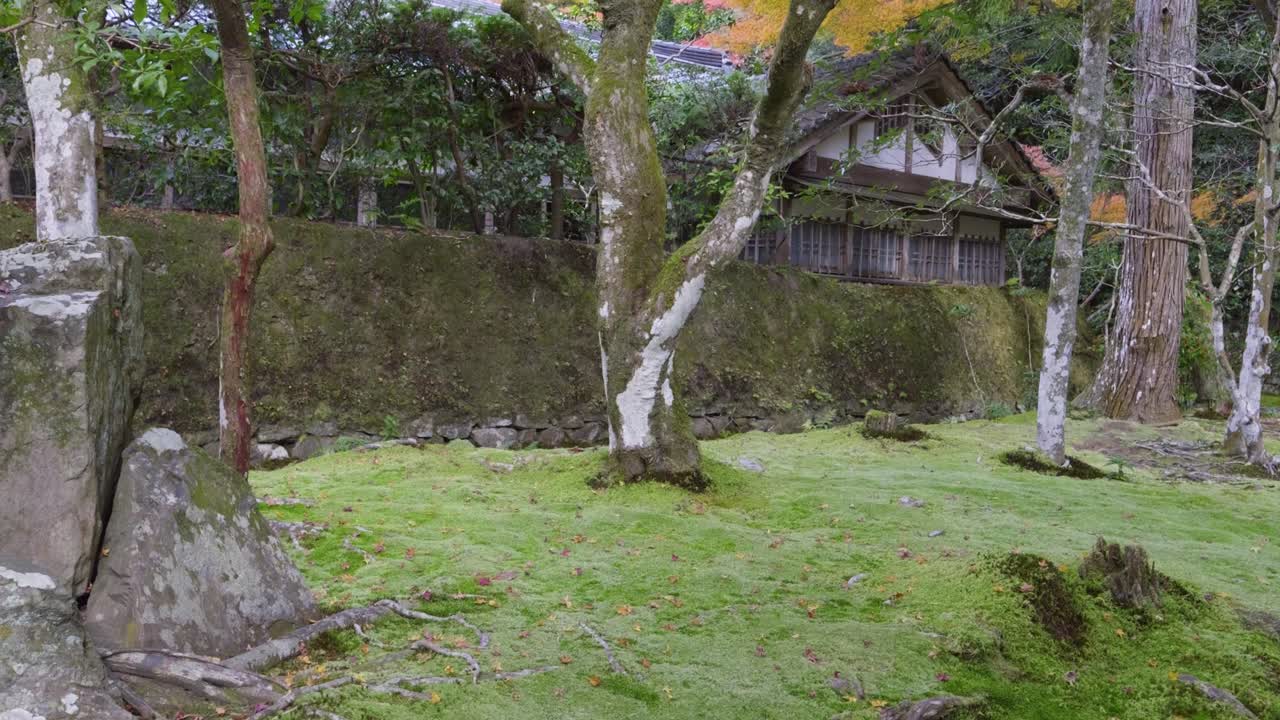 Slow motion slider tilt up reveal over temple grounds with moss during fall colors