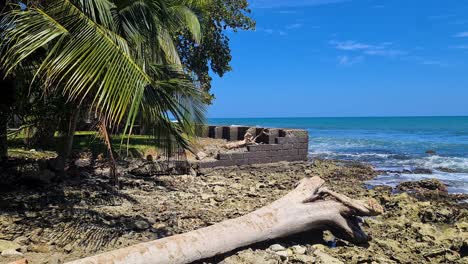 caribbean sea and coastline of costa rica near cahuita national park