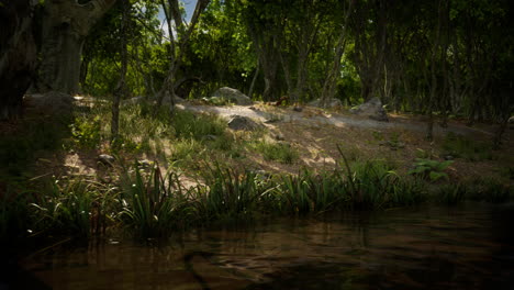 Pond-in-mossy-green-forest