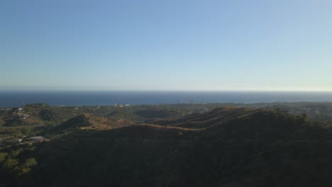 drone volando a través de los árboles y revelando el paisaje