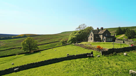 yorkshire farm, with green fields grazing sheep, dry stone walls and a typical country farmhouse