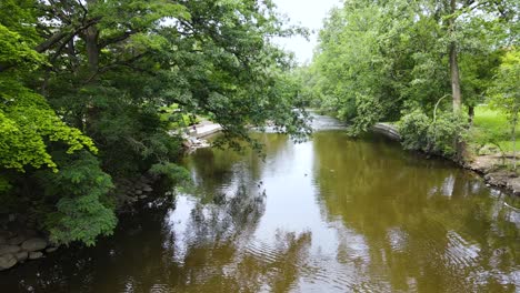 Wasservögel-Auf-Dem-Wasser-Des-Red-Cedar-River-In-East-Lansing