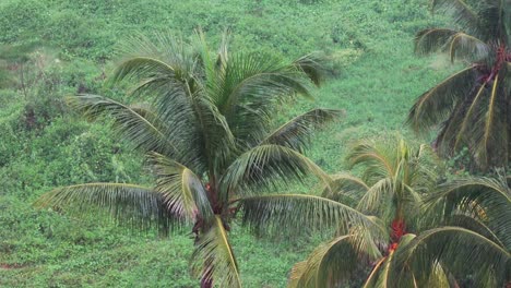 Starker-Regen-Und-Sturm-In-Kuba-Nach-Hurrikan