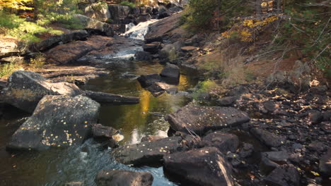 Drone-shot-of-natural-water-stream-flowing-inside-the-forest-of-Algonquin-Provincial-Park-with-sunlight-falling-on-water