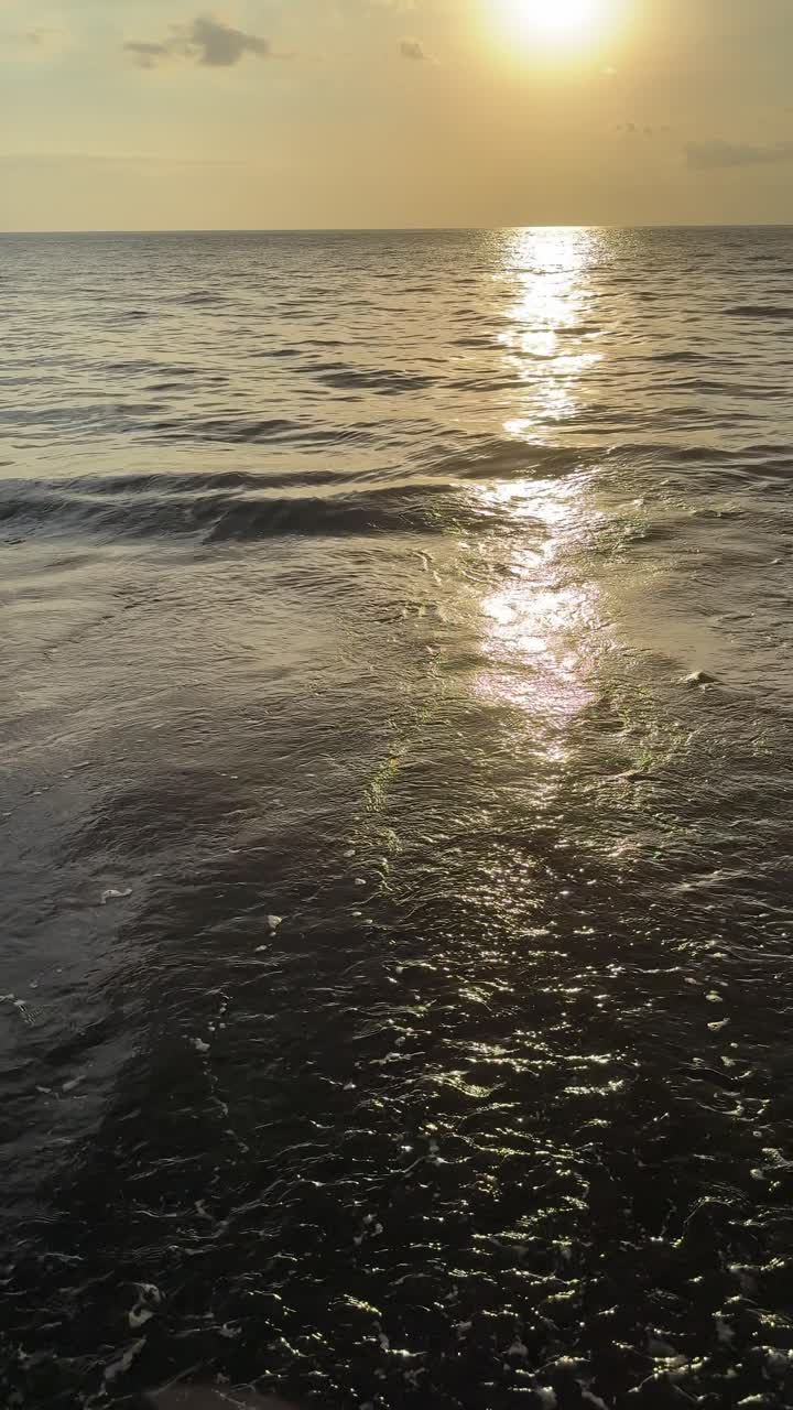 Golden Sunset Reflection on Ocean Waves and Dark Sand Beach