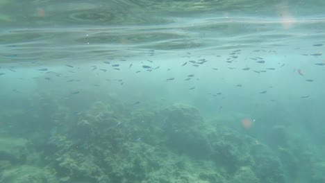 Bucear-En-Las-Aguas-Cristalinas-De-Kekova