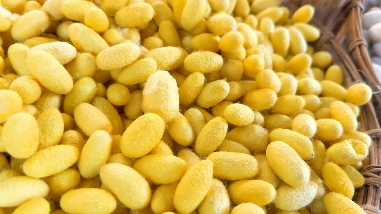 primer plano de capullos de gusanos de seda amarillos en cestas