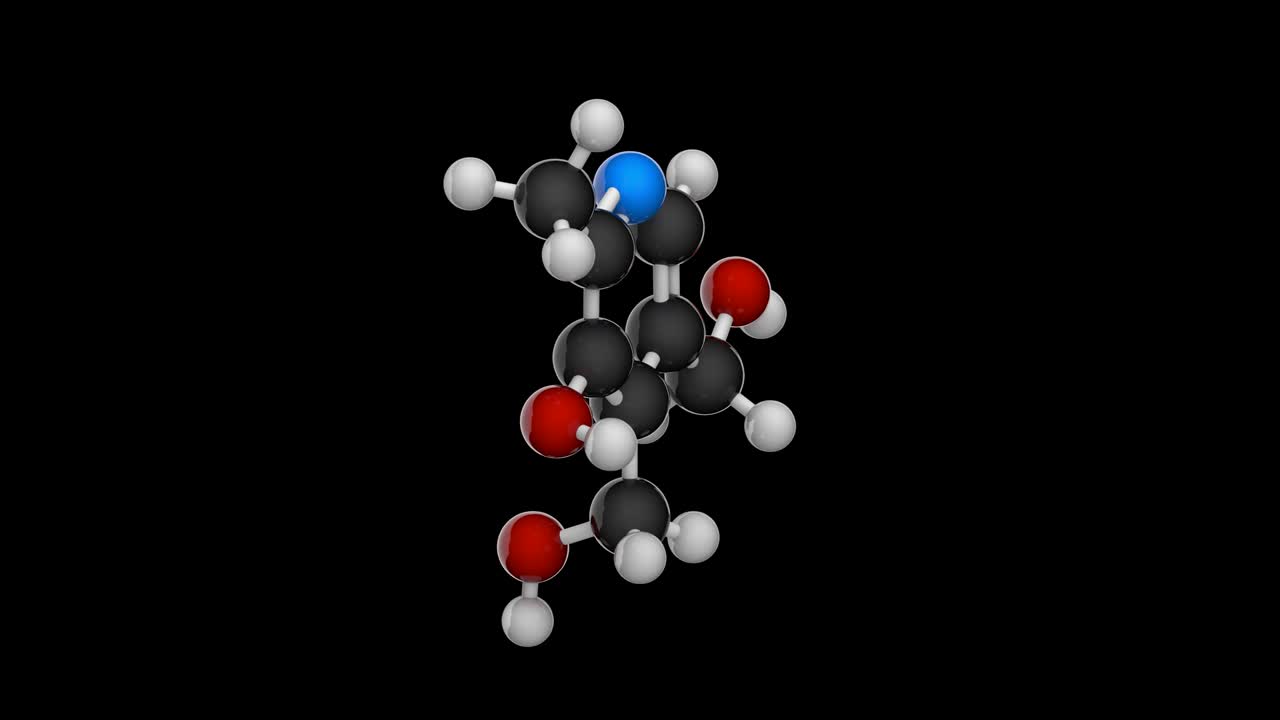 비타민 b6 (피리도크신) rgb + 알파 (투명한) 채널
