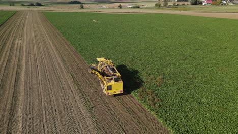 Harvester-machine-gathering-beets-in-an-expansive-green-field---aerial