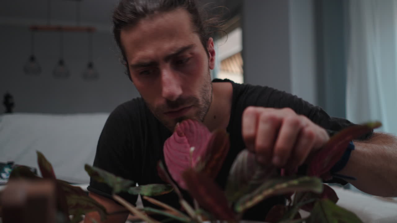 Hombre y planta de interior en el interior
